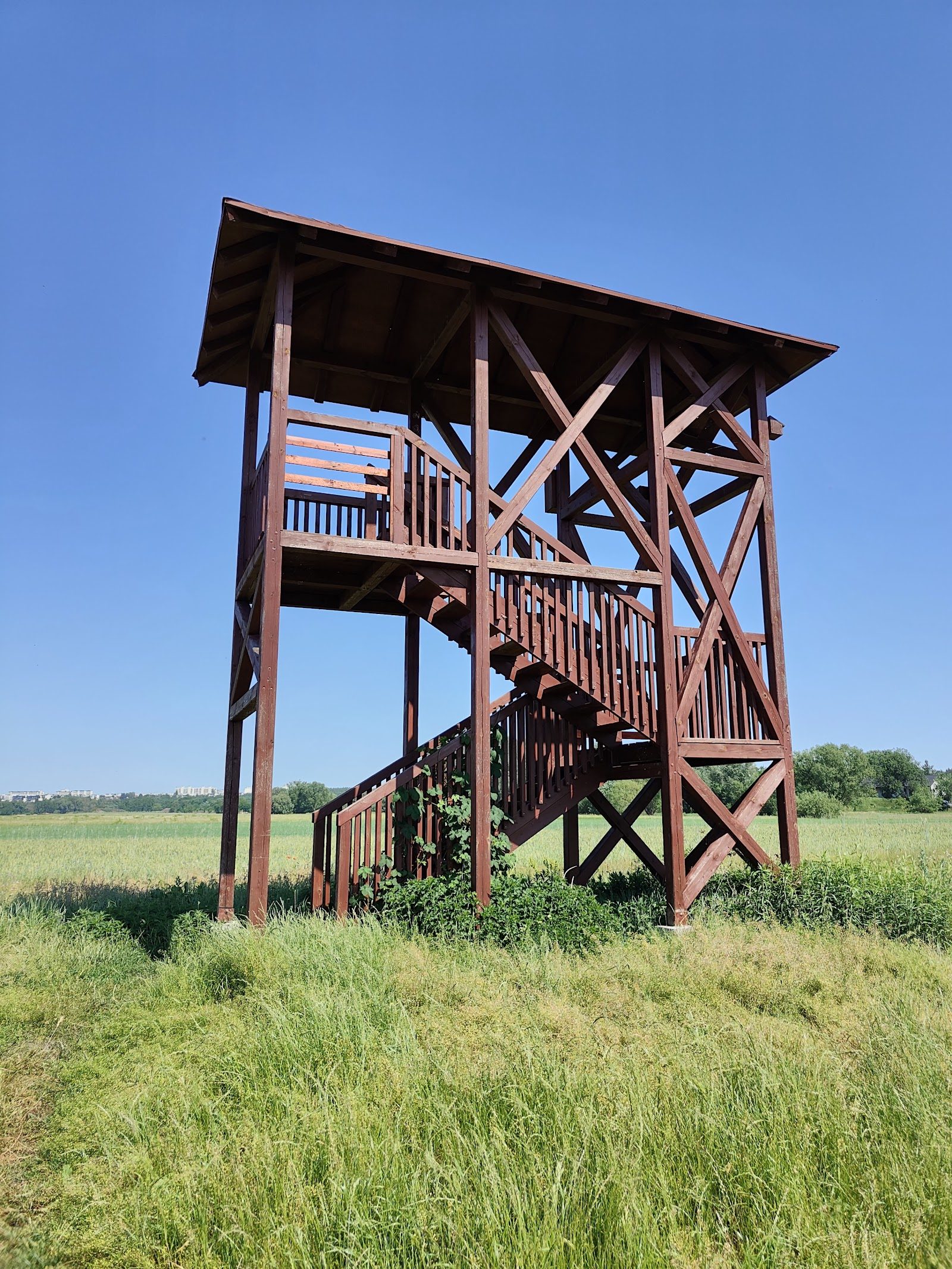Wieża widokowa przy ujściu Drwęcy (Drwęca-mouth observation tower), Torun