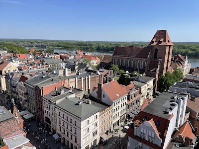 Climbing the Old Town Hall Tower