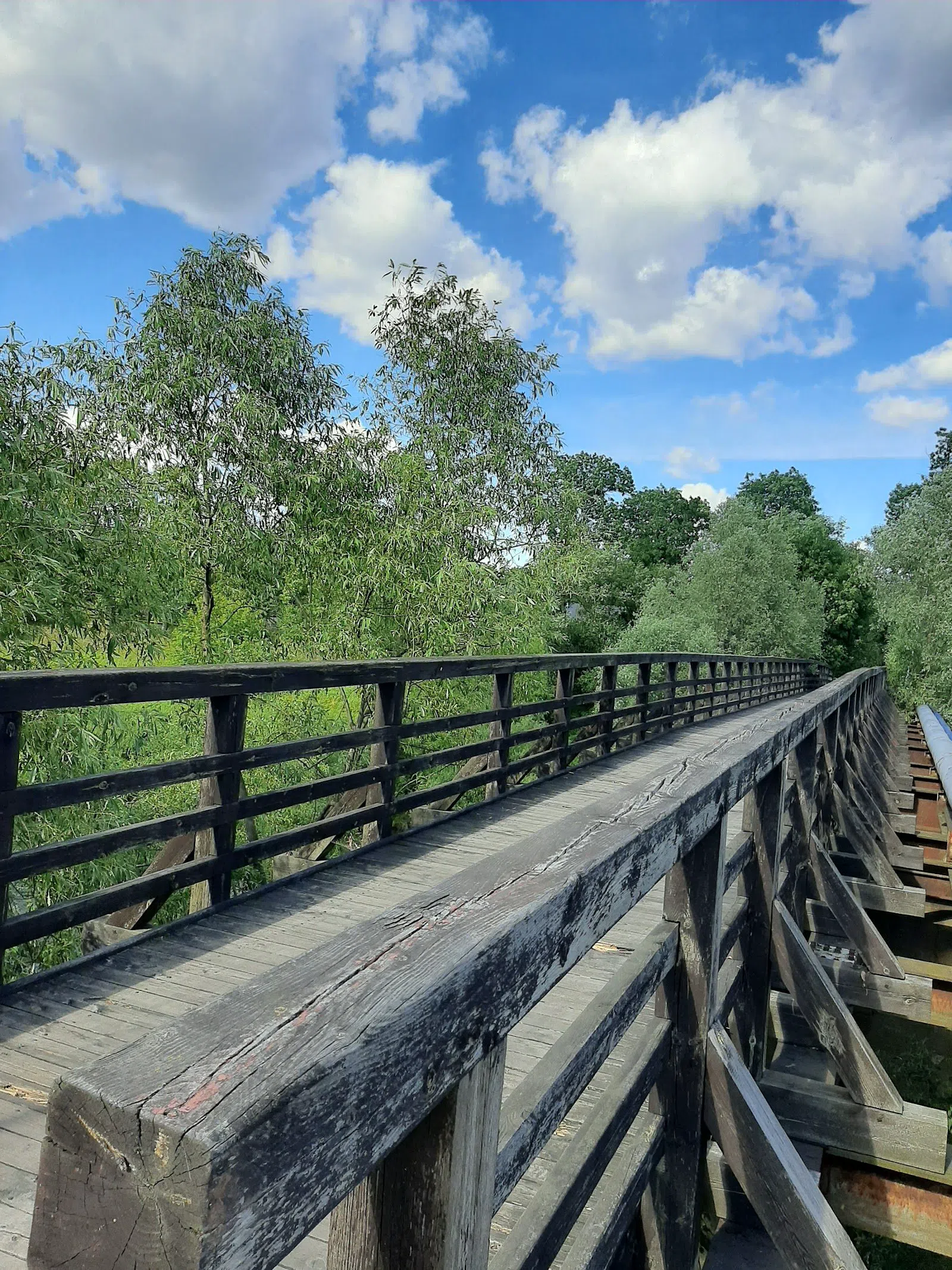 Stary most Kaszczorek – Złotoria (1893 wooden bridge over the Drwęca), Torun